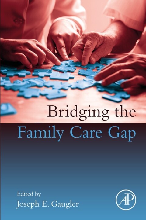 Cover image for book Bridging the Family Care Gap