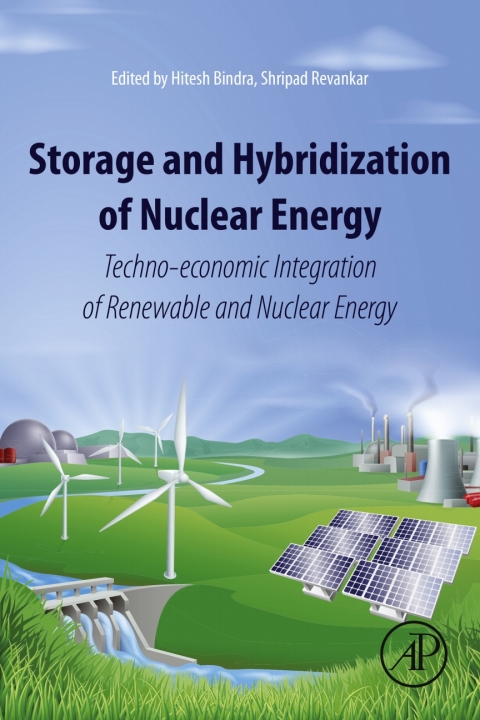 Cover image for book Storage and Hybridization of Nuclear Energy