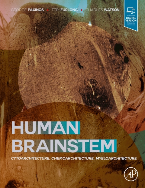 Cover image for book Human Brainstem
