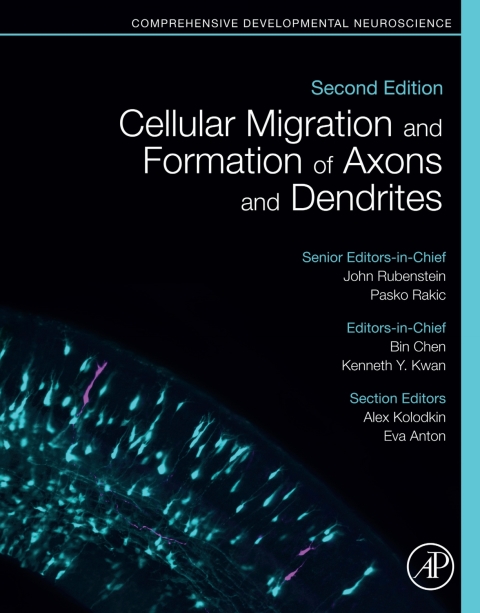 Cellular Migration and Formation of Axons and Dendrites 