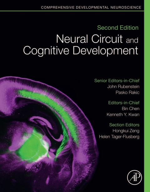 Neural Circuit and Cognitive Development 