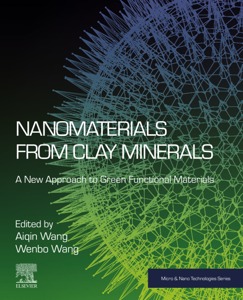 Cover image for book Nanomaterials from Clay Minerals