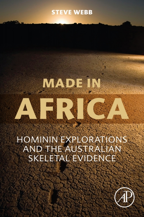 Cover image for book Made in Africa