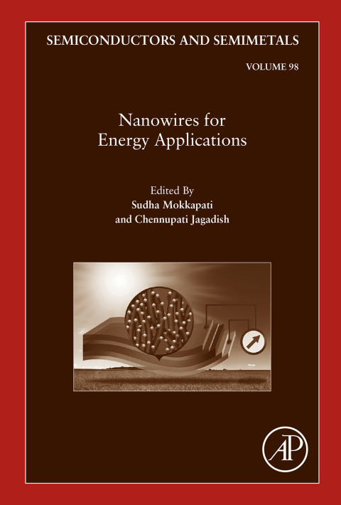 Cover image for book Nanowires for Energy Applications