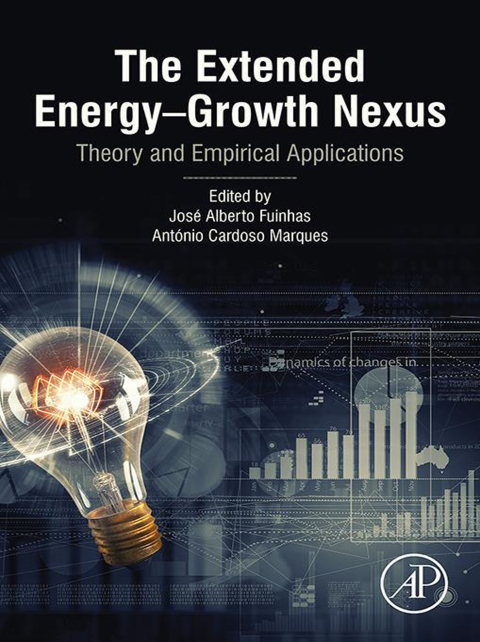 Cover image for book The Extended Energy–Growth Nexus