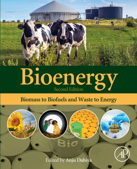 Cover image for book Bioenergy