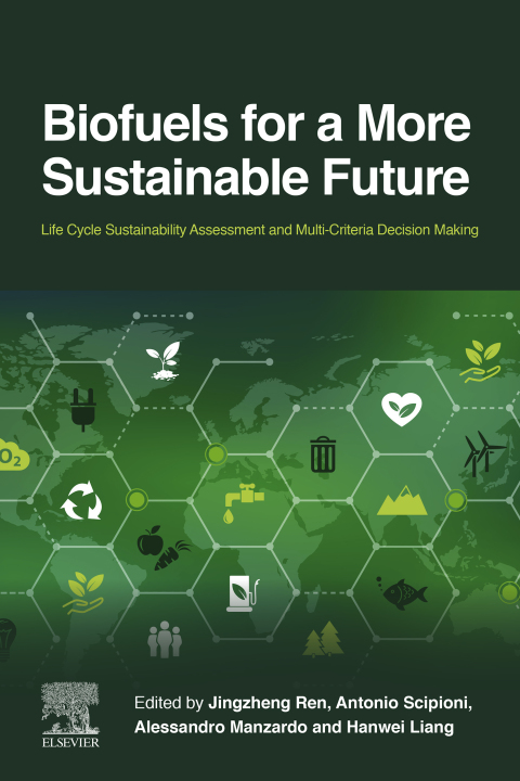 Cover image for book Biofuels for a More Sustainable Future