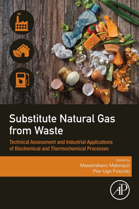 Cover image for book Substitute Natural Gas from Waste