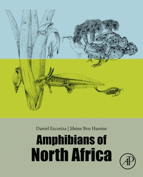 Cover image for book Amphibians of North Africa