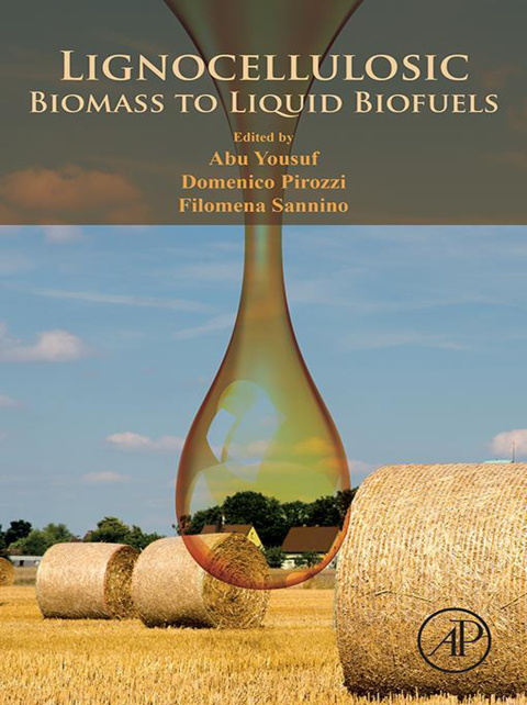 Cover image for book Lignocellulosic Biomass to Liquid Biofuels