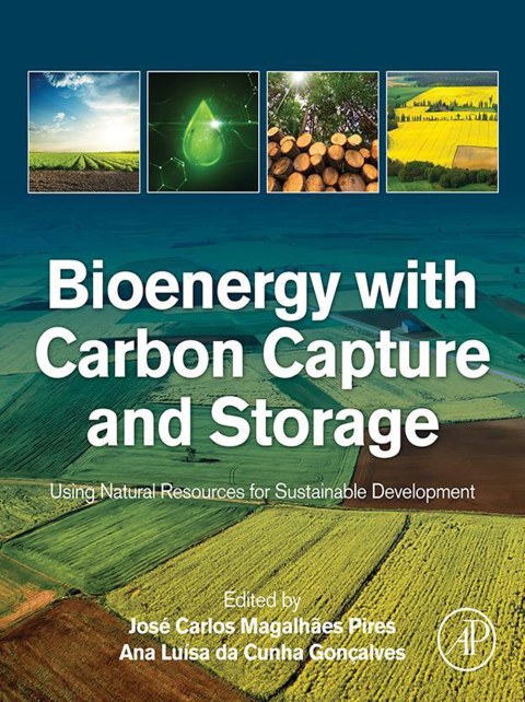 Cover image for book Bioenergy with Carbon Capture and Storage