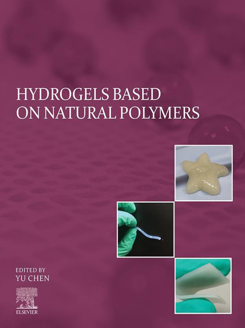 Cover image for book Hydrogels Based on Natural Polymers