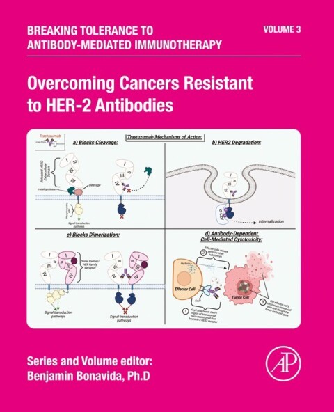 Cover image for book Overcoming Cancers Resistant to HER-2 Antibodies