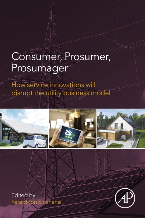 Cover image for book Consumer, Prosumer, Prosumager