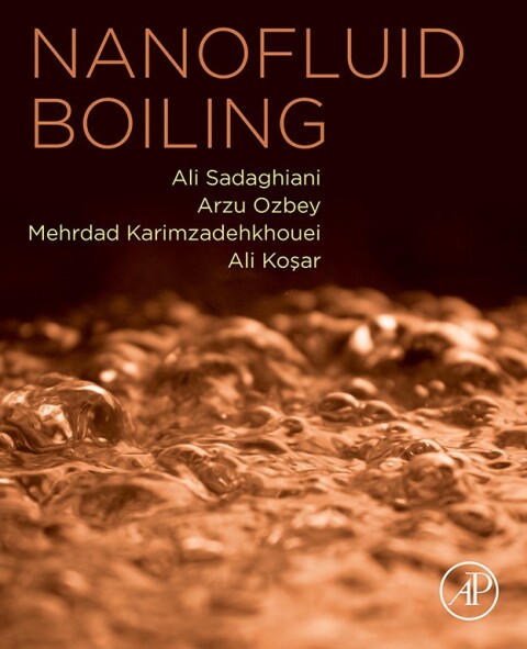 Cover image for book Nanofluid Boiling