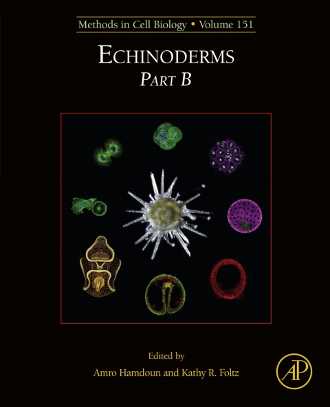 Cover image for book Echinoderms Part B