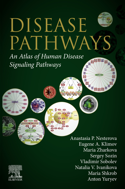 Cover image for book Disease Pathways
