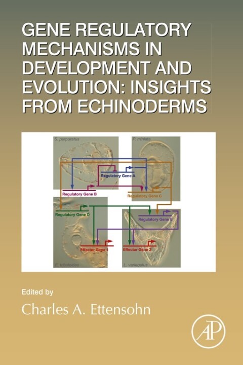 Cover image for book Gene Regulatory Mechanisms in Development and Evolution: Insights from Echinoderms