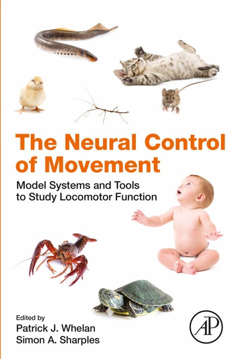 Cover image for book The Neural Control of Movement