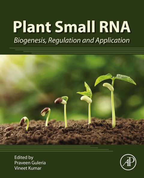 Plant Small RNA 