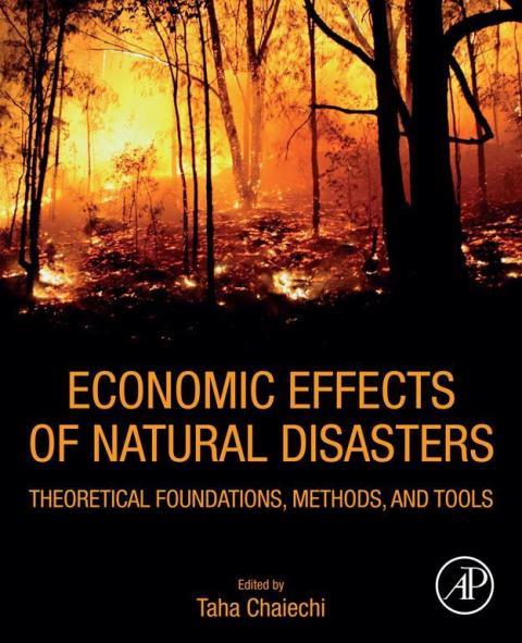 Cover image for book Economic Effects of Natural Disasters