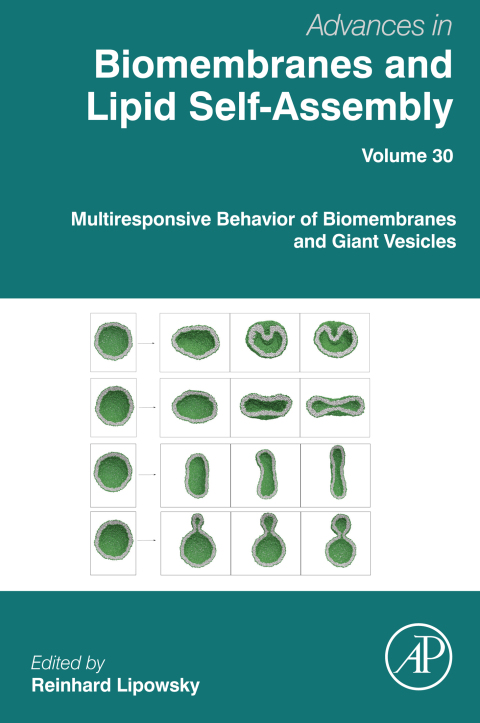 Cover image for book Multiresponsive Behavior of Biomembranes and Giant Vesicles
