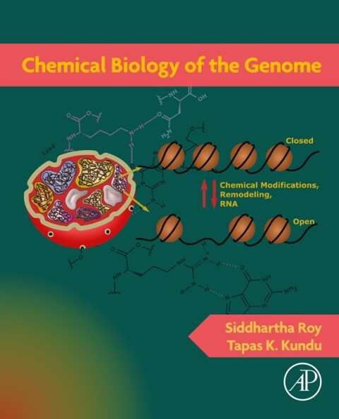 Cover image for book Chemical Biology of the Genome