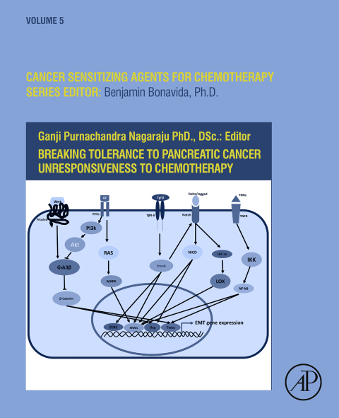 Cover image for book Breaking Tolerance to Pancreatic Cancer Unresponsiveness to Chemotherapy