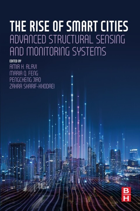 Cover image for book The Rise of Smart Cities