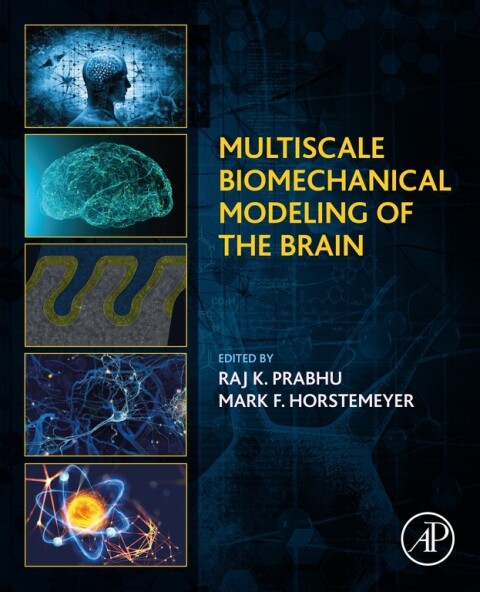 Cover image for book Multiscale Biomechanical Modeling of the Brain