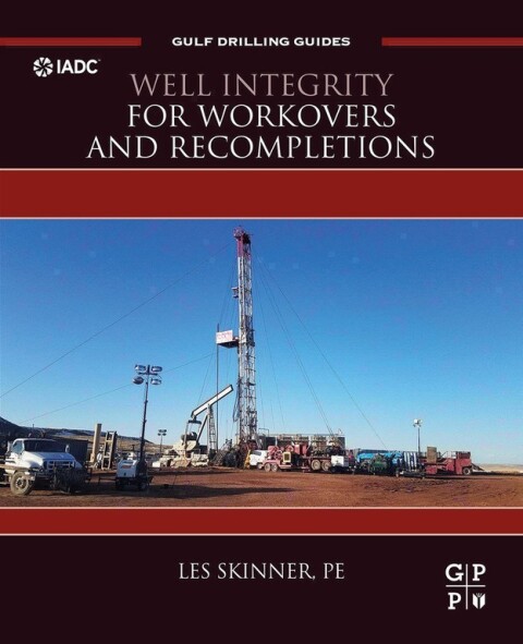 Cover image for book Well Integrity for Workovers and Recompletions