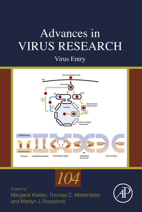 Cover image for book Virus Entry