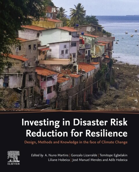 Cover image for book Investing in Disaster Risk Reduction for Resilience