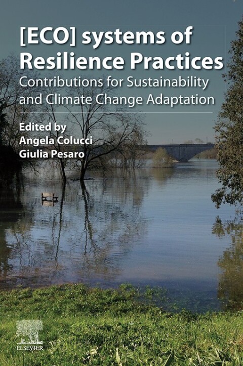 Cover image for book [ECO]systems of Resilience Practices