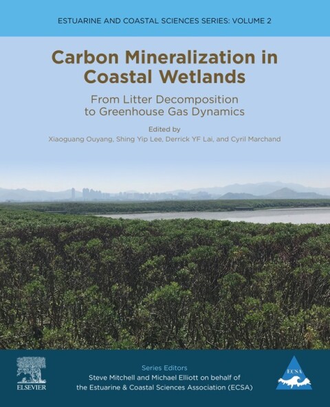 Cover image for book Carbon Mineralization in Coastal Wetlands