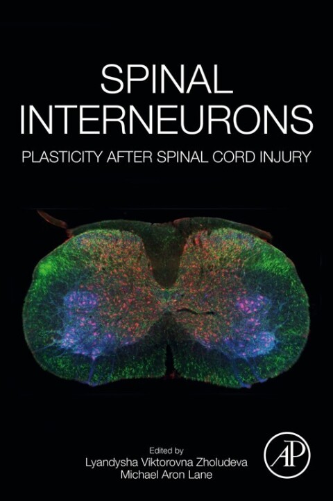 Cover image for book Spinal Interneurons