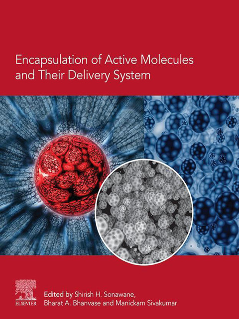 Cover image for book Encapsulation of Active Molecules and Their Delivery System
