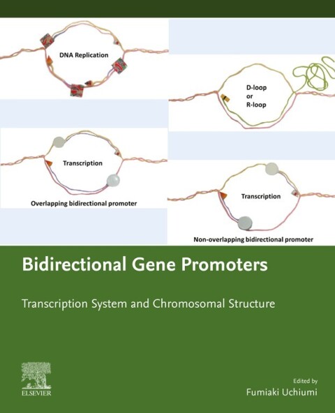 Cover image for book Bidirectional Gene Promoters
