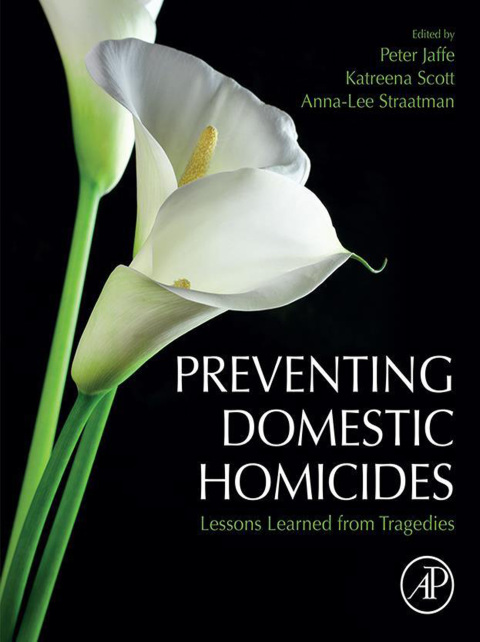 Cover image for book Preventing Domestic Homicides
