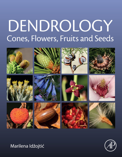 Cover image for book Dendrology: Cones, Flowers, Fruits and Seeds