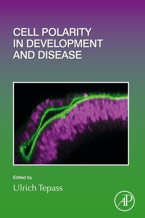 Cover image for book Cell Polarity in Development and Disease