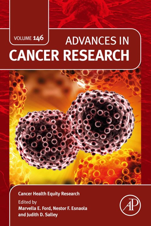 Cover image for book Cancer Health Equity Research