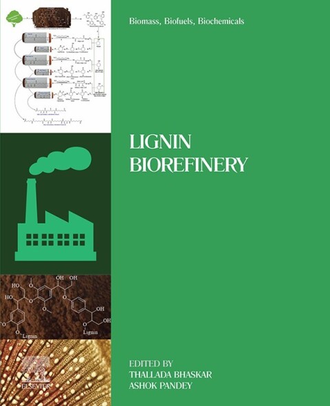 Cover image for book Biomass, Biofuels, Biochemicals