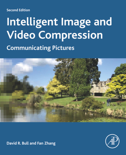 Intelligent Image and Video Compression 