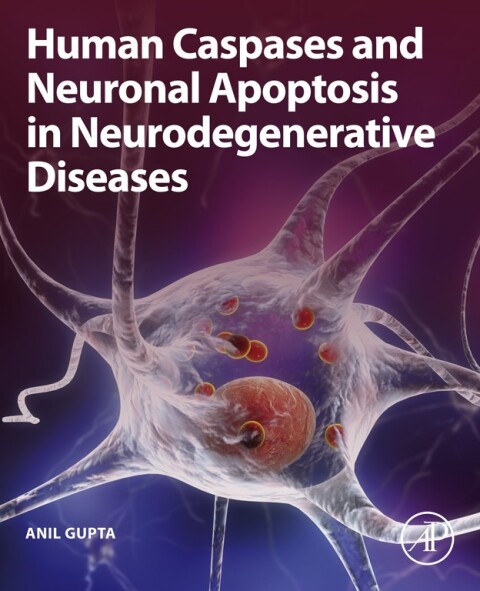 Cover image for book Human Caspases and Neuronal Apoptosis in Neurodegenerative Diseases