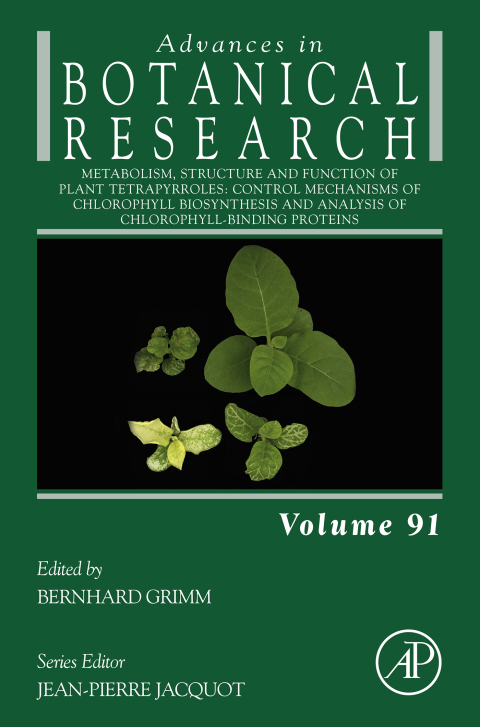 Cover image for book Metabolism, Structure and Function of Plant Tetrapyrroles: Control Mechanisms of Chlorophyll Biosynthesis and Analysis of Chlorophyll-Binding Proteins