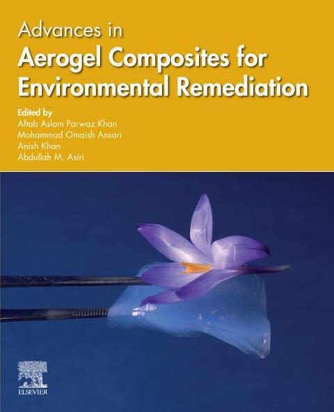 Cover image for book Advances in Aerogel Composites for Environmental Remediation