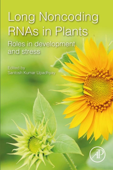 Cover image for book Long Noncoding RNAs in Plants