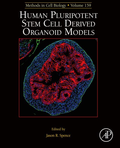 Cover image for book Human Pluripotent Stem Cell Derived Organoid Models