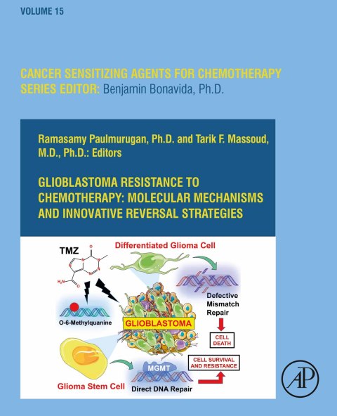 Cover image for book Glioblastoma Resistance to Chemotherapy: Molecular Mechanisms and Innovative Reversal Strategies